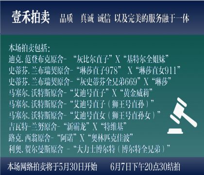 拍前建議閱讀此說明