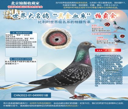 湯姆.凡哈佛22-0499951雌