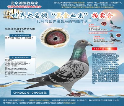 利奧:歐元X新夢幻22-0499935雄