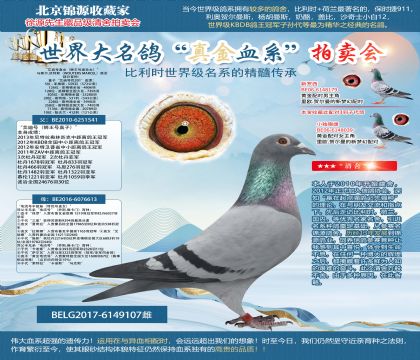 馬塞爾.沃特斯原舍-“艾迪號直女(獅王號直孫女)”