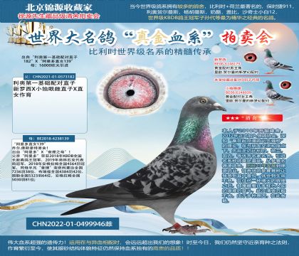 利奧2022-0499946雌