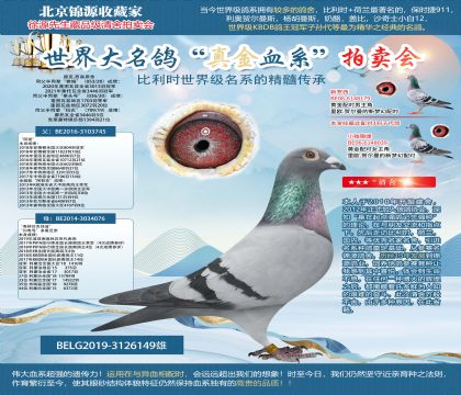 路克.西翁原舍-“阿諾”X“奧林匹克佳波”