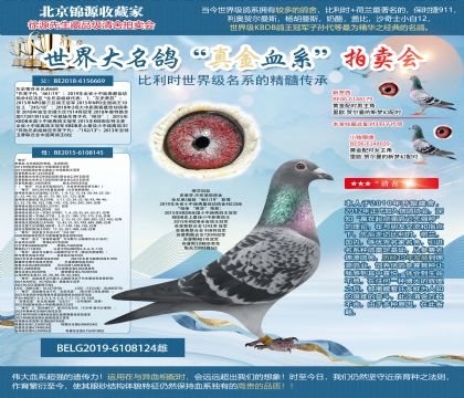 史蒂芬.蘭布瑞契原舍-“琳莎”直女