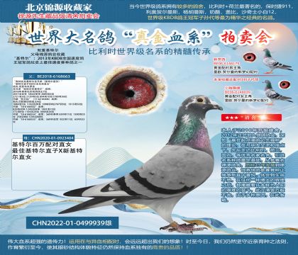 雙重基特爾22-0499939雄