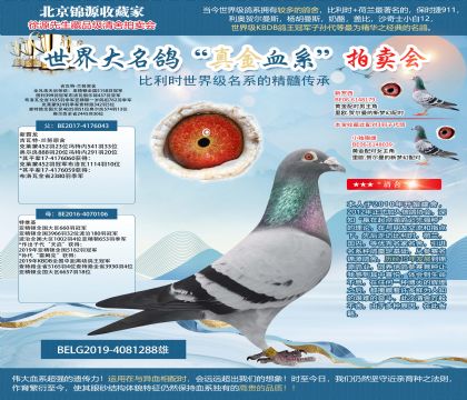 吉瓦特-蘭努原舍-“新霸龍”X“特維基”