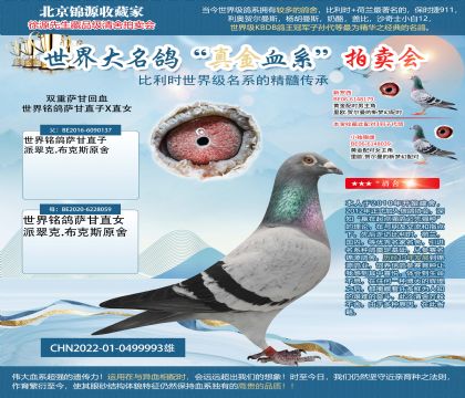 雙重薩甘回血22-0499993雄