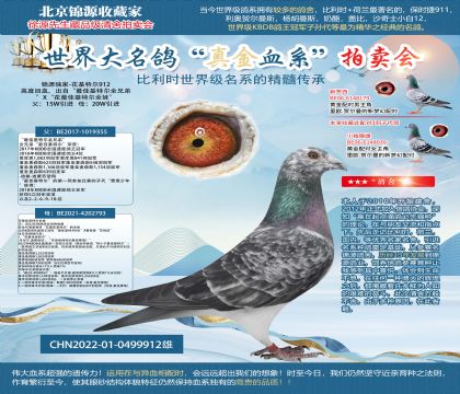 花最佳基特爾22-0499912雄