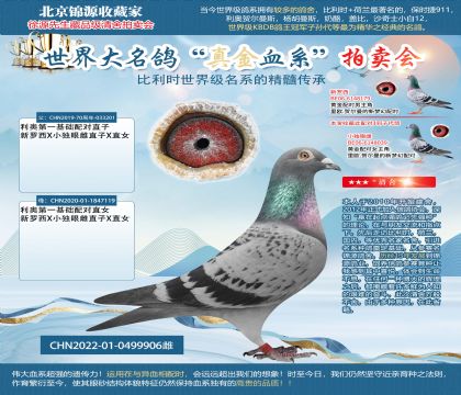利奧第一基礎(chǔ)配對雙重回血22-0499906雌