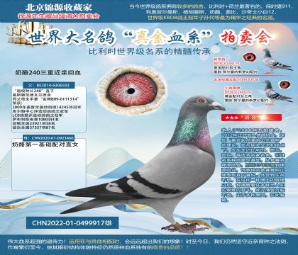 金環(huán):奶酪240三重近親回血22-0499917雄