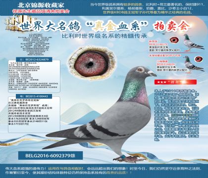 利奧原舍-“大力士博爾特直子”