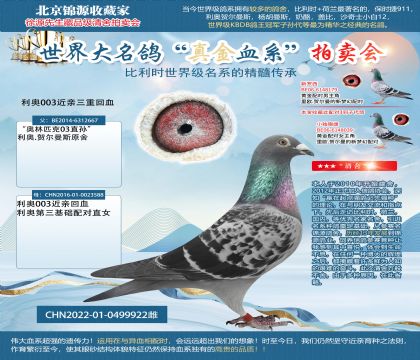 利奧003三重回血22-0499922雌