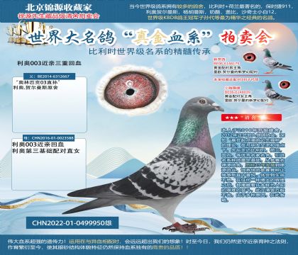 利奧003三重回血22-0499950雄