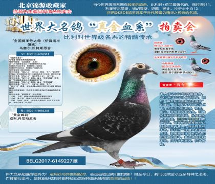 馬塞爾.沃特斯原舍-“全國獅王號之母(伊薇塔半姐妹)”