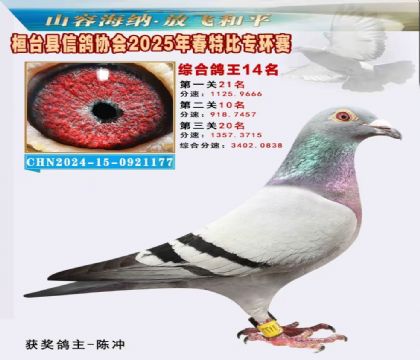 桓臺信鴿協(xié)會(huì)特比環(huán)14名
