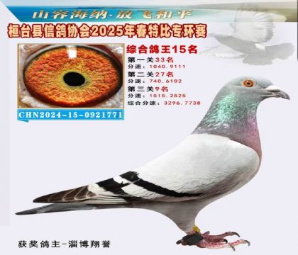 桓臺信鴿協(xié)會(huì)特比環(huán)15名