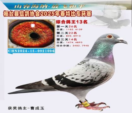 桓臺信鴿協(xié)會(huì)特比環(huán)13名