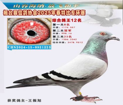 桓臺信鴿協(xié)會(huì)特比環(huán)12名