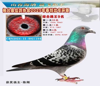 桓臺信鴿協(xié)會(huì)特比環(huán)9名
