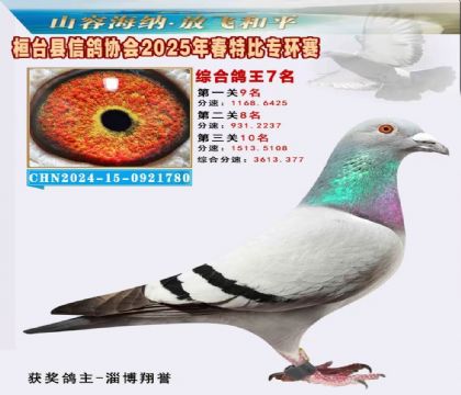 桓臺信鴿協(xié)會(huì)特比環(huán)7名