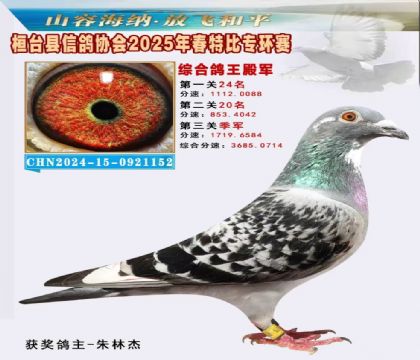 桓臺信鴿協(xié)會(huì)特比環(huán)4名