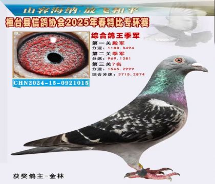 桓臺信鴿協(xié)會(huì)特比環(huán)3名