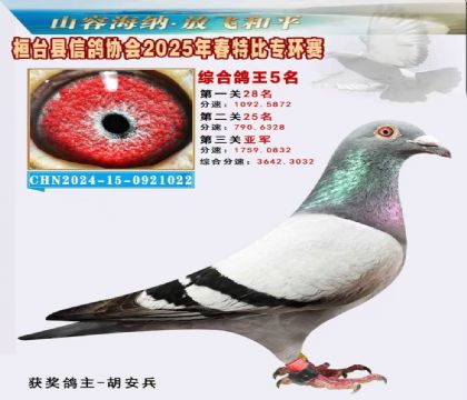 桓臺信鴿協(xié)會(huì)特比環(huán)5名