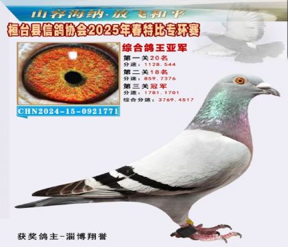 桓臺信鴿協(xié)會(huì)特比環(huán)2名
