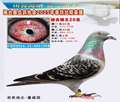 _(ti)f(xi)(hu)Ӣر20
