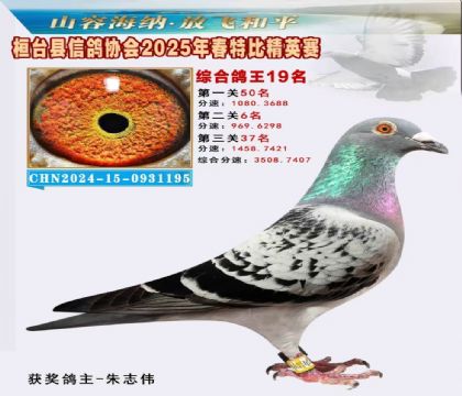 _(ti)f(xi)(hu)Ӣر19