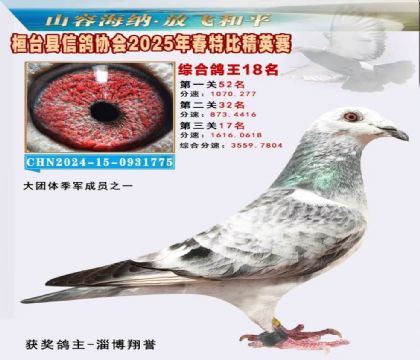 _(ti)f(xi)(hu)Ӣر18
