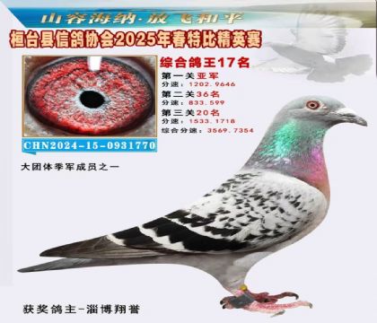 _(ti)f(xi)(hu)Ӣر17