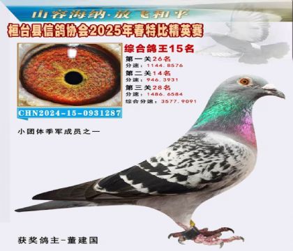 _(ti)f(xi)(hu)Ӣر15