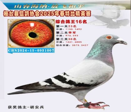 _(ti)f(xi)(hu)Ӣر16