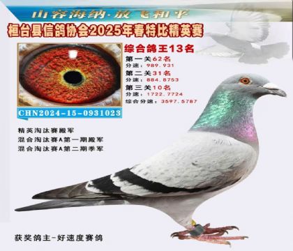 _(ti)f(xi)(hu)Ӣر13