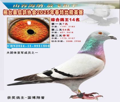 _(ti)f(xi)(hu)Ӣر14