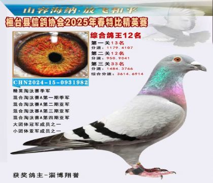 _(ti)f(xi)(hu)Ӣر12