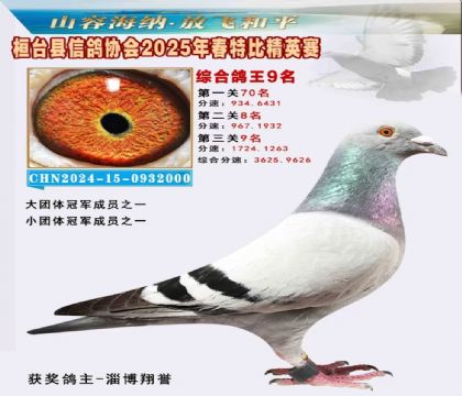 _(ti)f(xi)(hu)Ӣر9