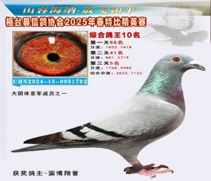 _(ti)f(xi)(hu)Ӣر10