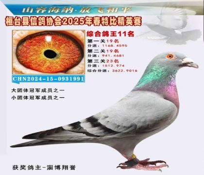 _(ti)f(xi)(hu)Ӣر11