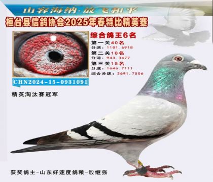 _(ti)f(xi)(hu)Ӣر6