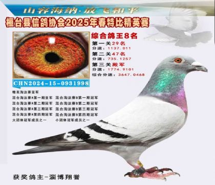 _(ti)f(xi)(hu)Ӣر8