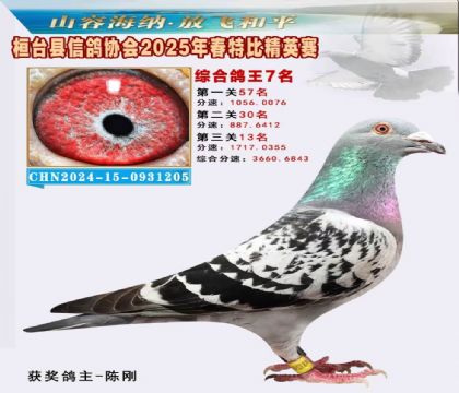 _(ti)f(xi)(hu)Ӣر7