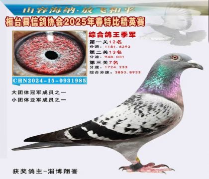_(ti)f(xi)(hu)Ӣر3