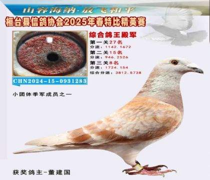 _(ti)f(xi)(hu)Ӣر4