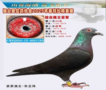 _(ti)f(xi)(hu)Ӣر2