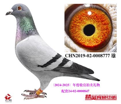 uٛ(zng)