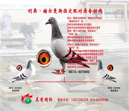 游