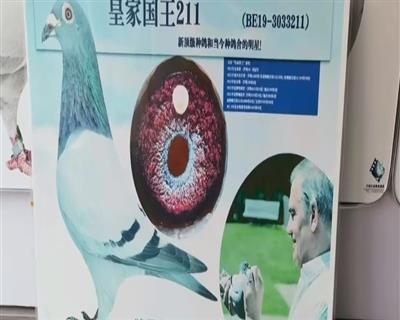ĸHDƬ