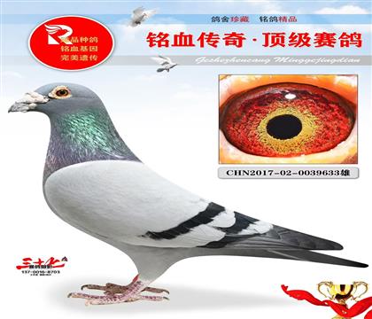 ׿蹫7