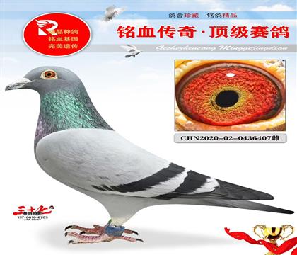 ҰQِ55